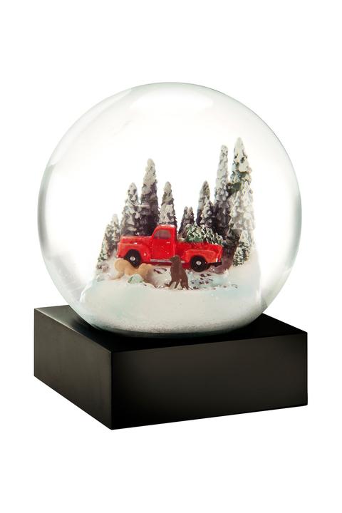 Kar Küresi Snow Globe Red Truck W/ Dog